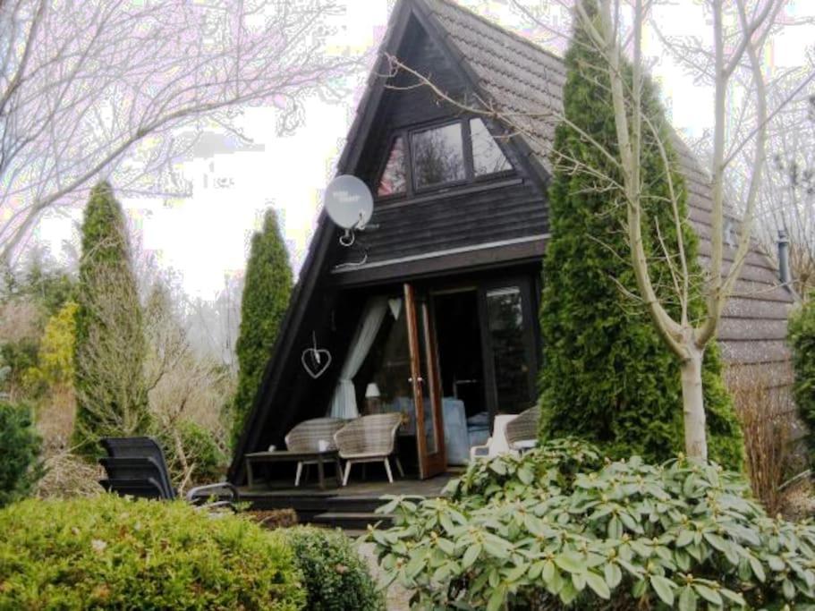 Villa Nurdachhaus Mit Kaminofen Und Grossem Grundstueck Faßberg Esterno foto
